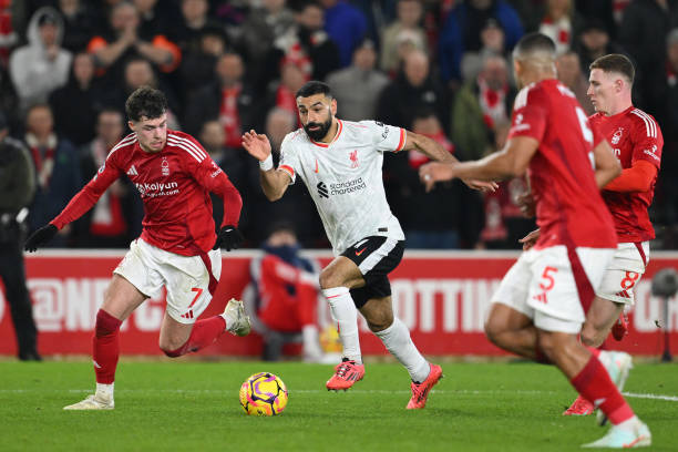 尽显传奇谢 尽显传奇谢